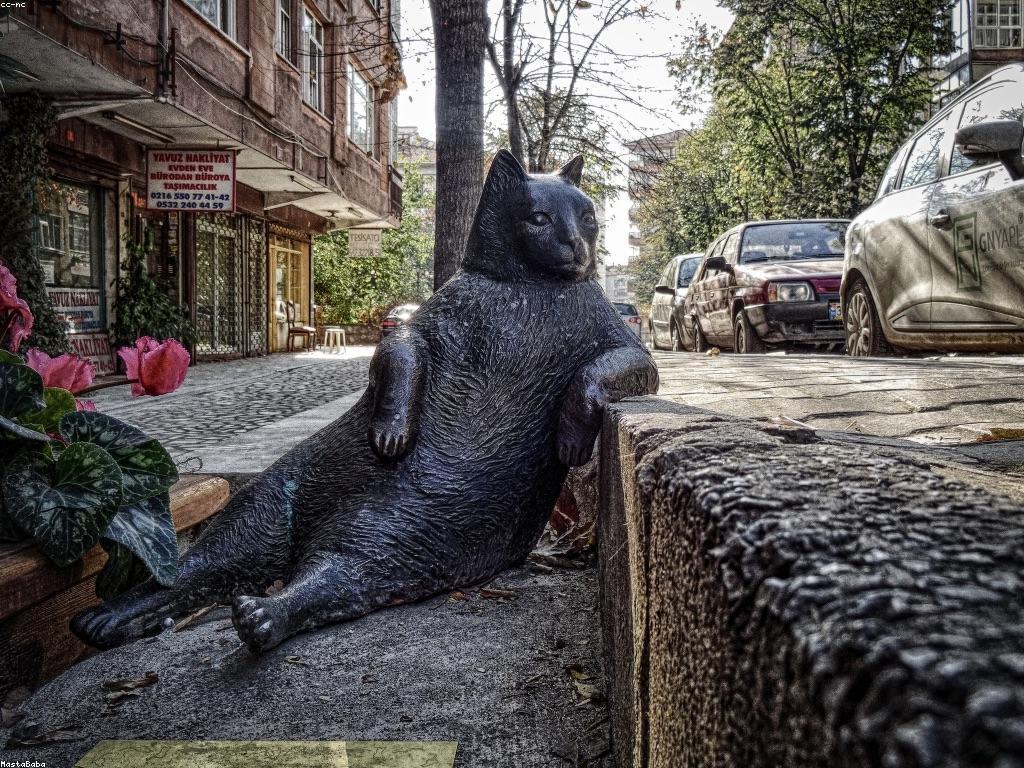 ជម្រើសវិនិយោគប្រាក់កាសខ្ពស់