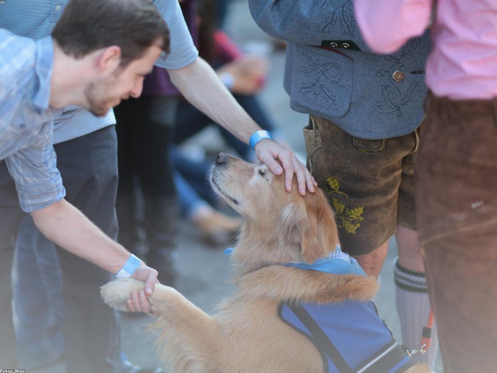 សារៈសំខាន់នៃព្រឹត្តិការណ៍ពិសេសសម្រាប់សង្គម